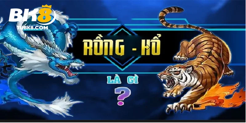 Cách chơi rồng hổ tổng quan