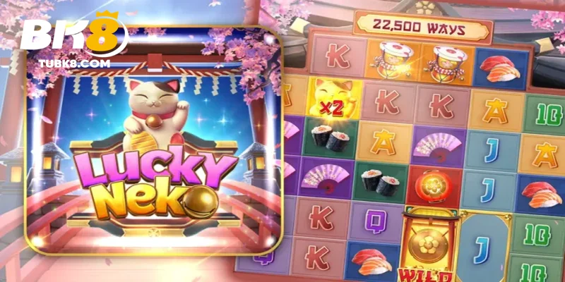Neko may mắn tính năng